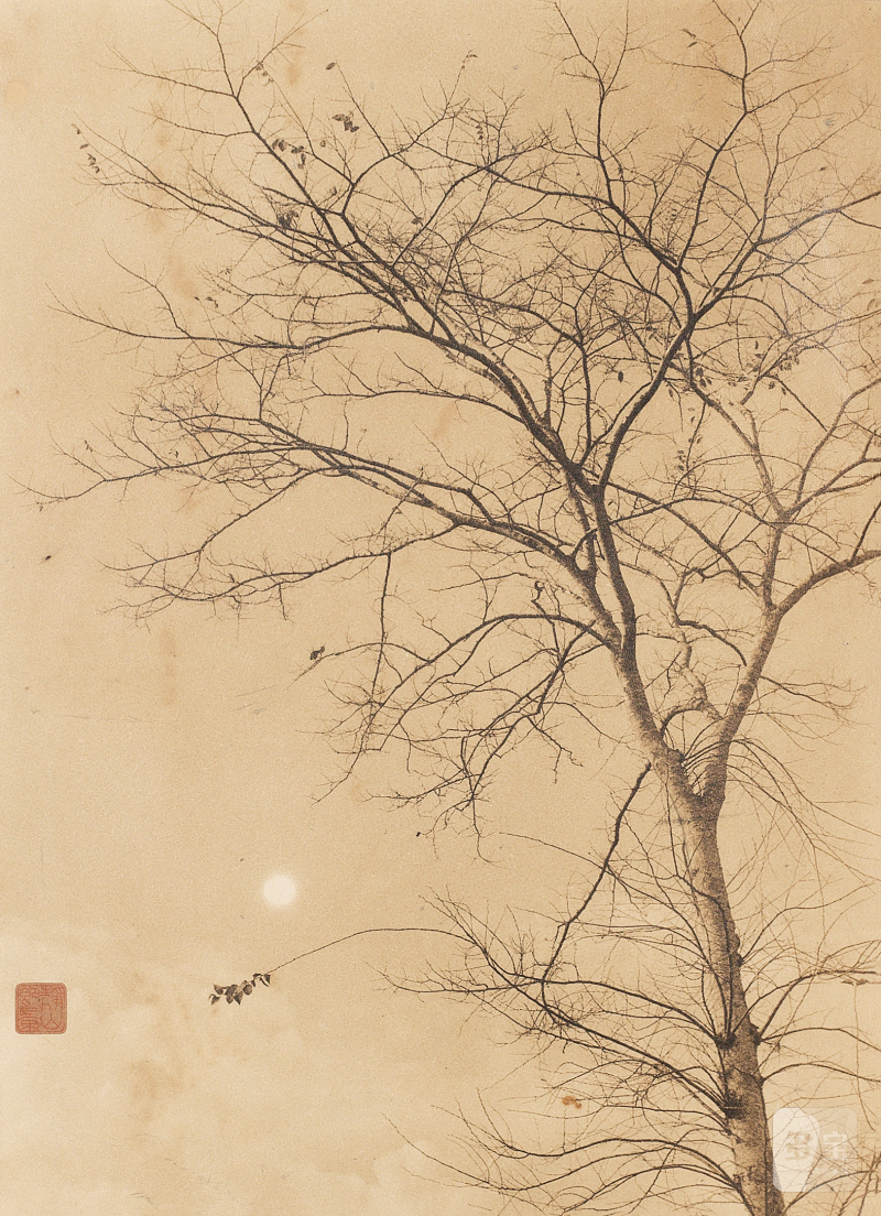 郎静山 LANG JINGSHAN (1892-1995) 寒林日落 Cold Forest at Sunset - 图2